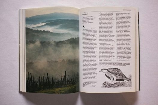 A double-page spread from Wild Italy by Tim Jepson illustrates the Chianti hills and introduces the Bolgheri coast.
